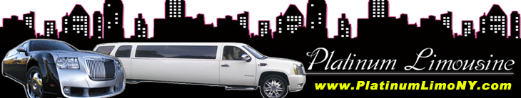 Platinum Limousine Banner